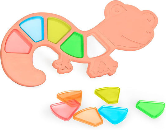 Feel to Learn: Translucent Colourful Lizard