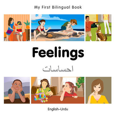 Feelings (Urdu/English)