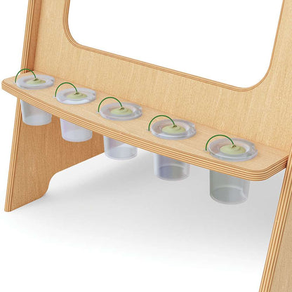 Seoras Birch Double Sided Painting Easel with Clear Tubs