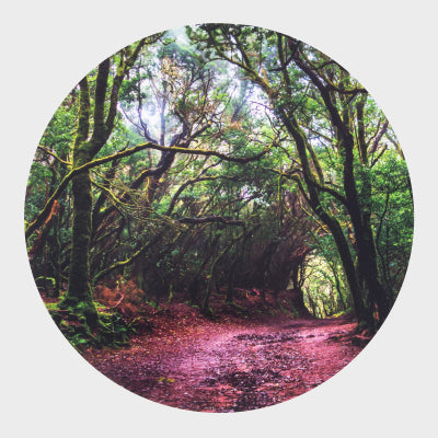 Forest Discovery Play Mat Round (24"D)