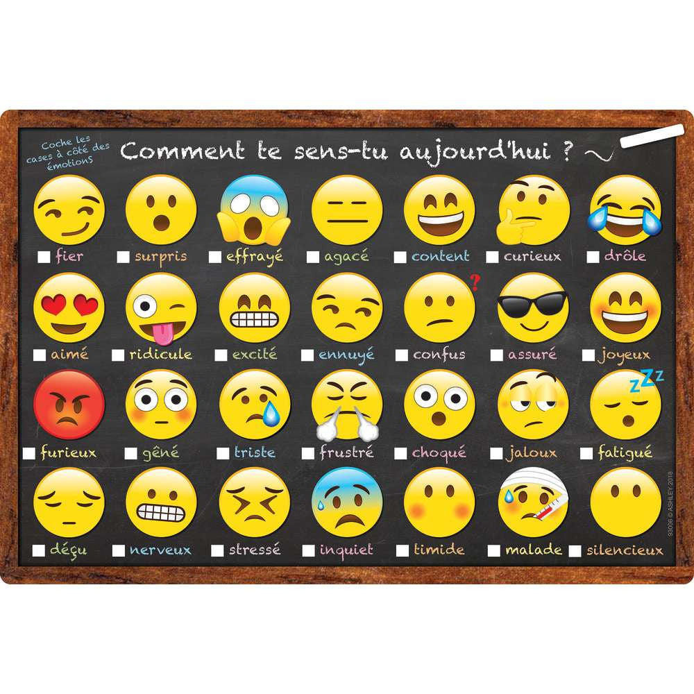 French Emoji How Are You Feeling Smart Poly® Chart 13" x 19"