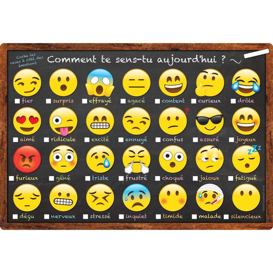 French Emoji How Are You Feeling Smart Poly® Chart 13" x 19"