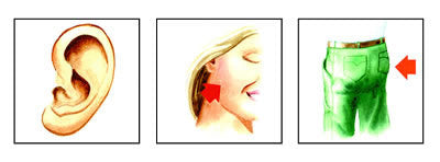 French Flashcards - Les parties du coprs