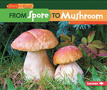 From Spore To Mushroom