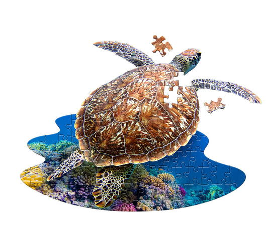 I AM Lil' Sea Turtle (100 pieces)