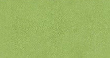 Just Kidding Carpet - Rec 12'X6' -  Lime Green