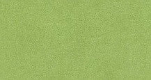 Just Kidding Carpet - Rec 6'X9' -  Lime Green