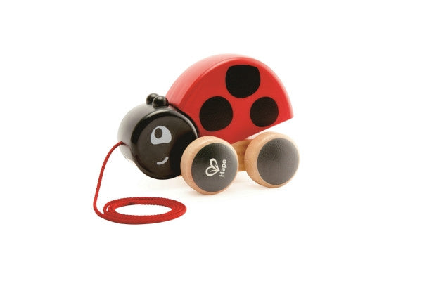 Ladybug Pull Along