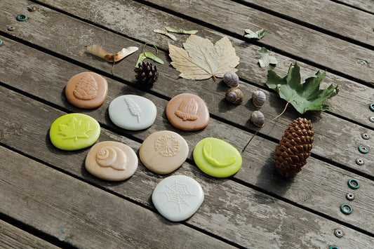 Let’s Investigate – Nature