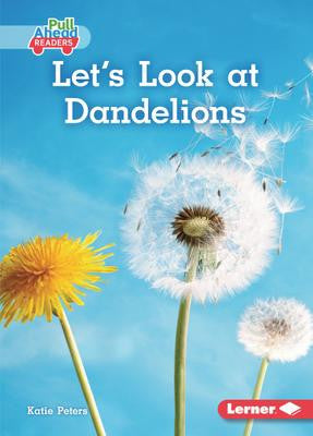 Let's Look At Dandelions