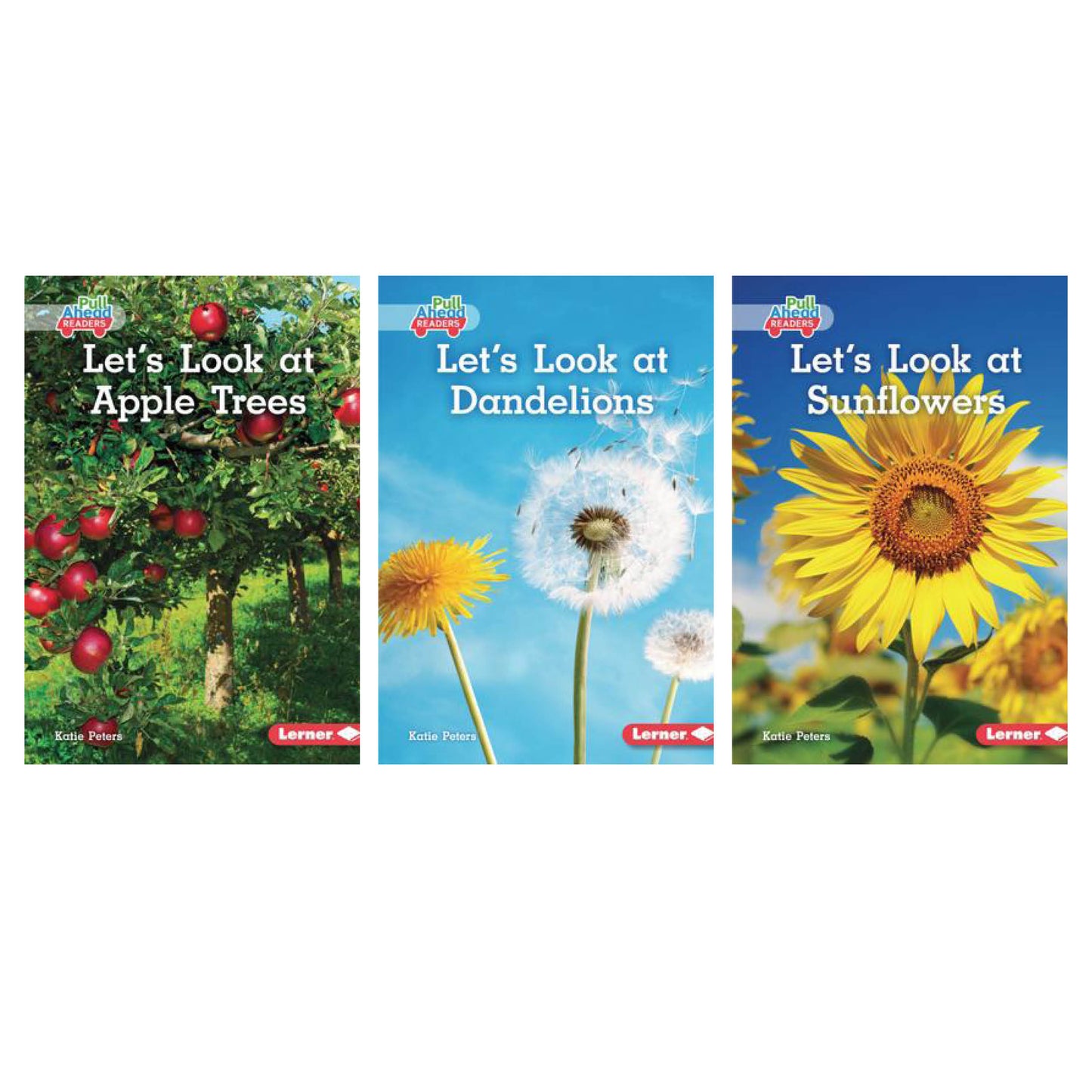 Let's Look At - Set Of 3 Books