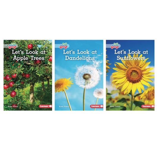 Let's Look At - Set Of 3 Books