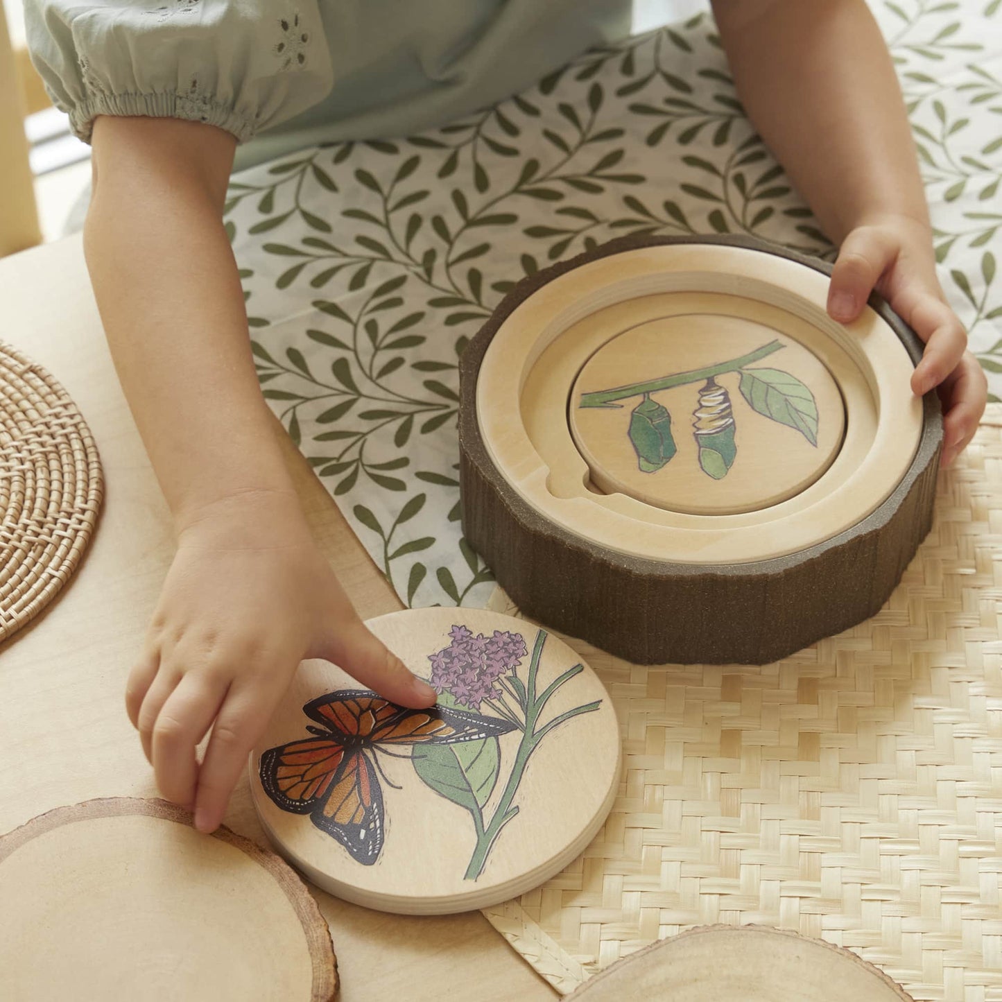 Lifecycle Puzzles- Set of 3