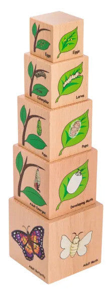 Lifecycle Wooden Blocks- Set of 5