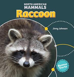 North American Mammals: Raccoon