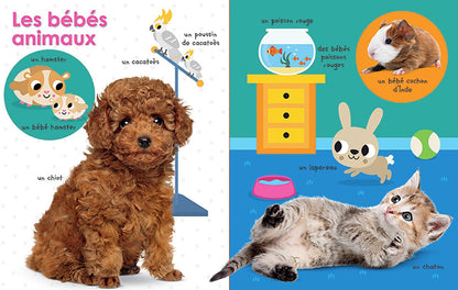 Apprendre avec Scholastic: Mon premier petit livre : Les bébés animaux du Canada