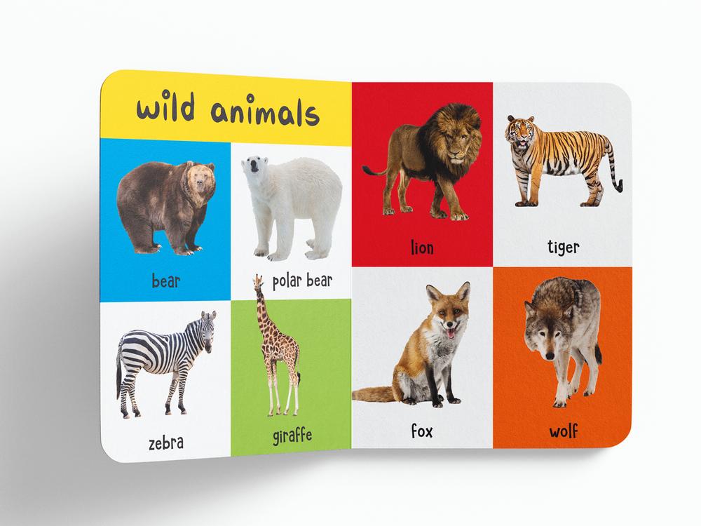 My First 4 In 1: Wild Animals, Pet and Farm Animals, Birds, Sea Animals