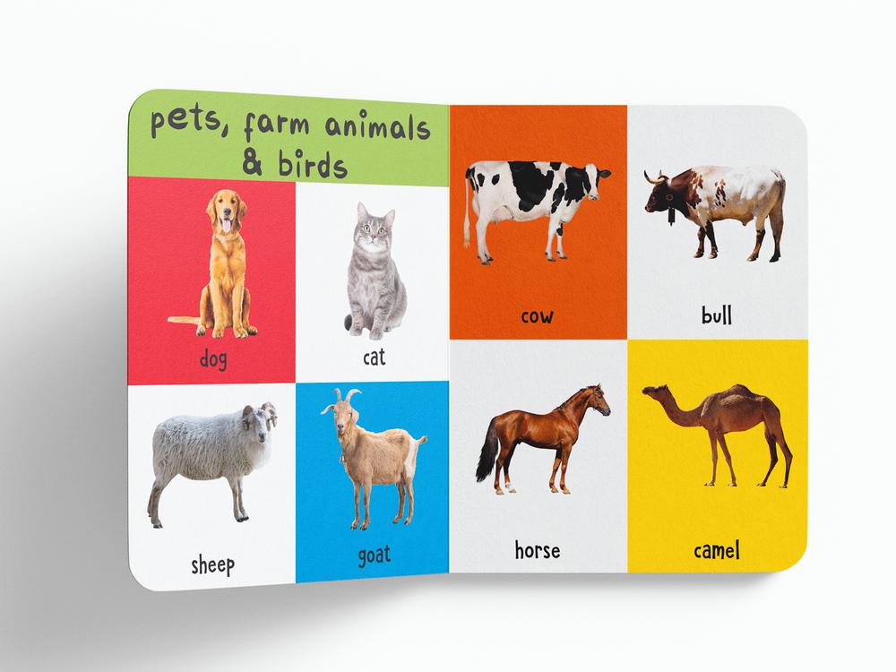 My First 4 In 1: Wild Animals, Pet and Farm Animals, Birds, Sea Animals