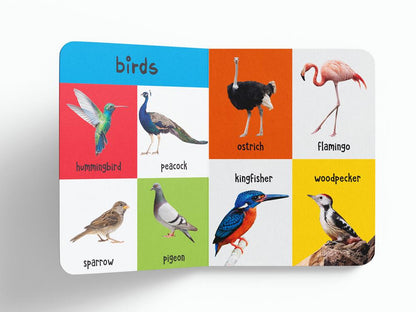 My First 4 In 1: Wild Animals, Pet and Farm Animals, Birds, Sea Animals