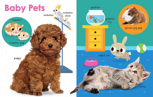 My First Canadian: Baby Animals