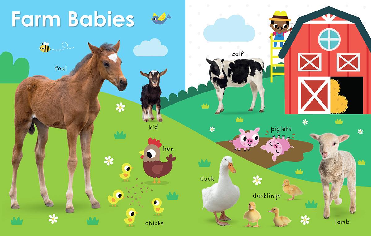 My First Canadian: Baby Animals