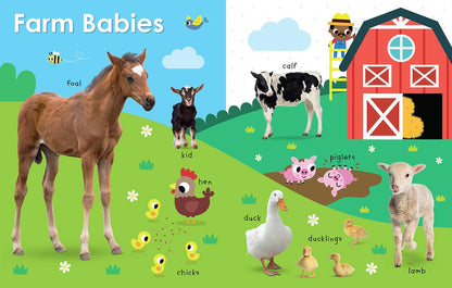 My First Canadian: Baby Animals