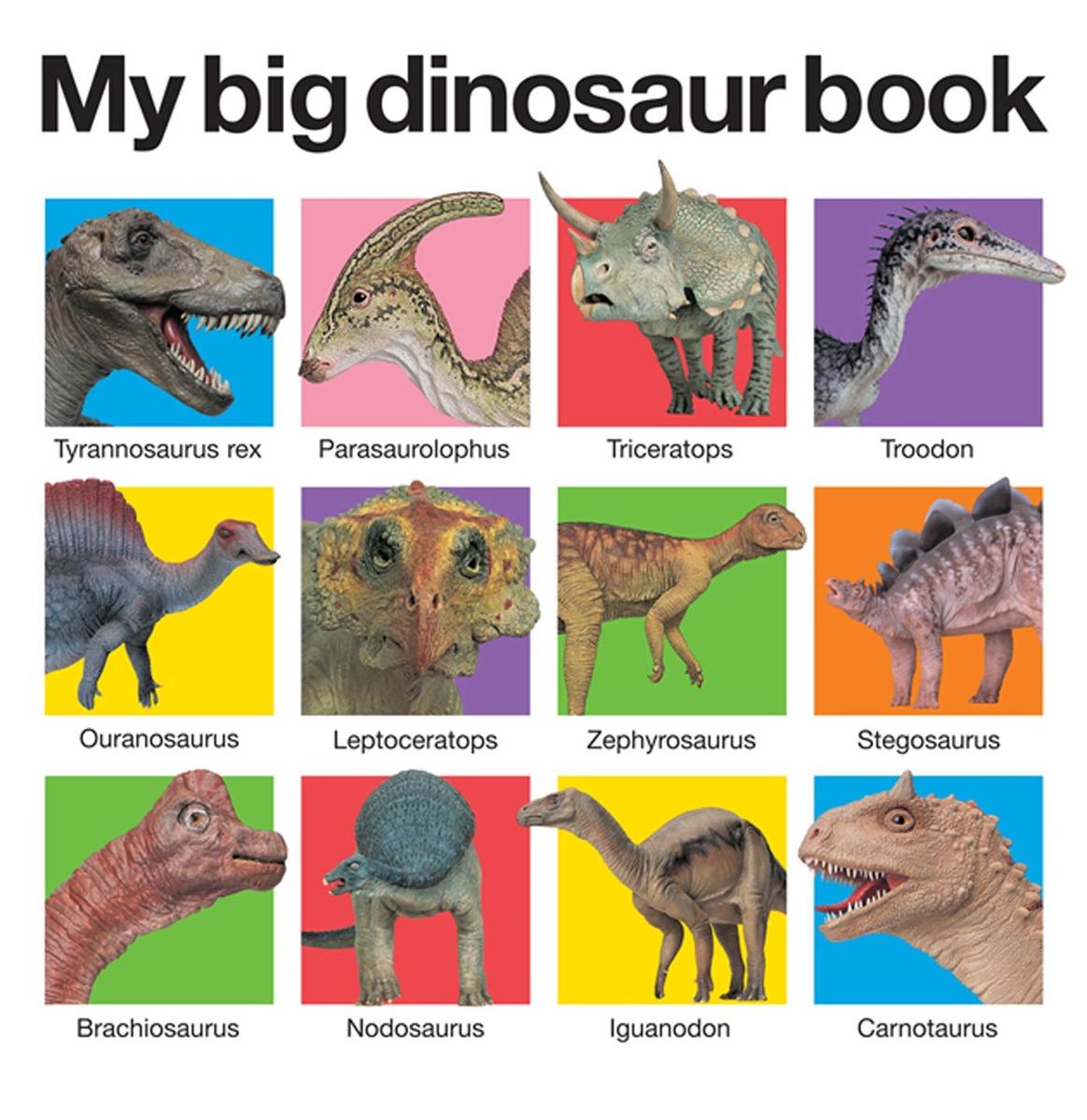 Mon grand livre des dinosaures