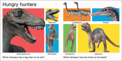Mon grand livre des dinosaures