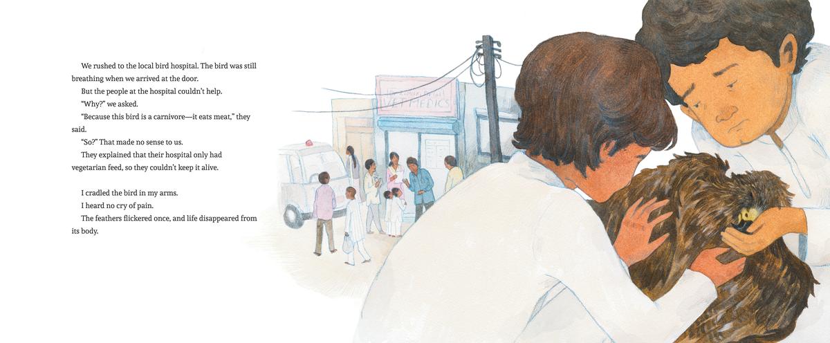 Bird Brothers, A Delhi Story