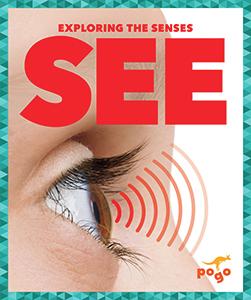 Exploring the Senses: See