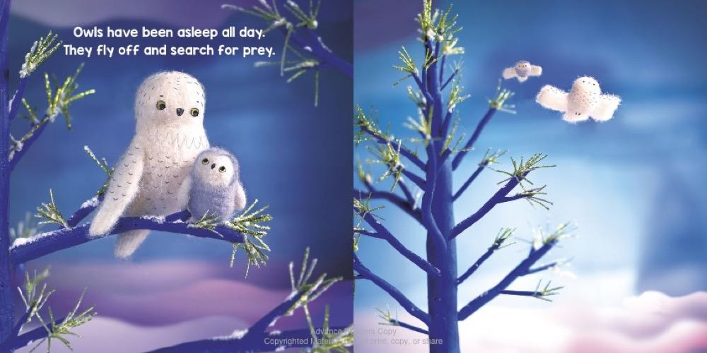 Sleep Tight, Polar Bear