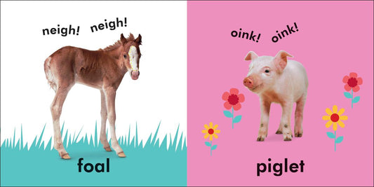 Baby Touch and Feel Baby Animals