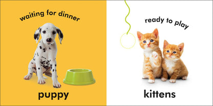 Baby Touch and Feel Baby Animals