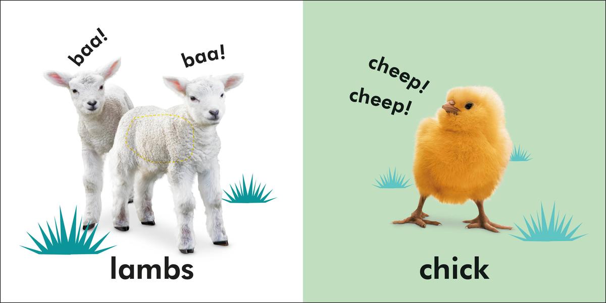Baby Touch and Feel Baby Animals