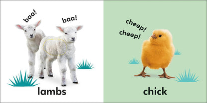 Baby Touch and Feel Baby Animals