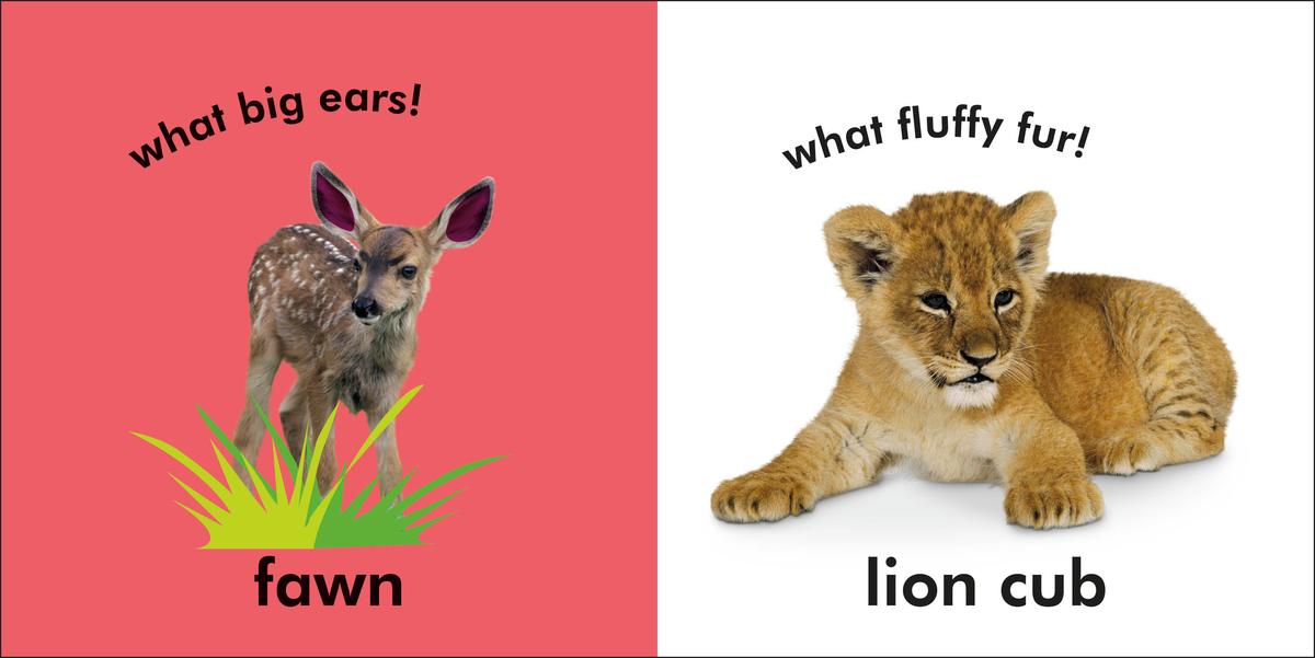 Baby Touch and Feel Baby Animals