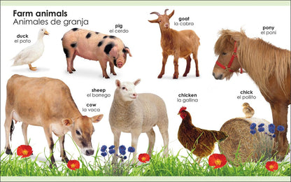 My First Bilingual Animals