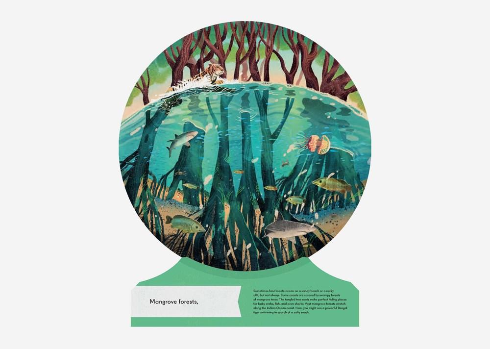 Our Underwater World: A First Dive into Oceans, Lakes, and Rivers