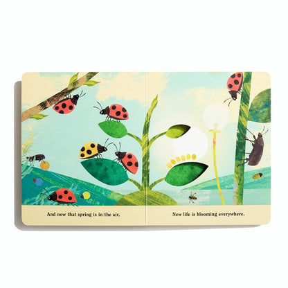 Bugs: A Peek-Through Board Book
