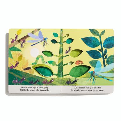 Bugs: A Peek-Through Board Book