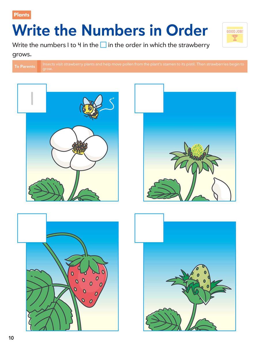 Play Smart Science Skill Builders: For Ages 5-7