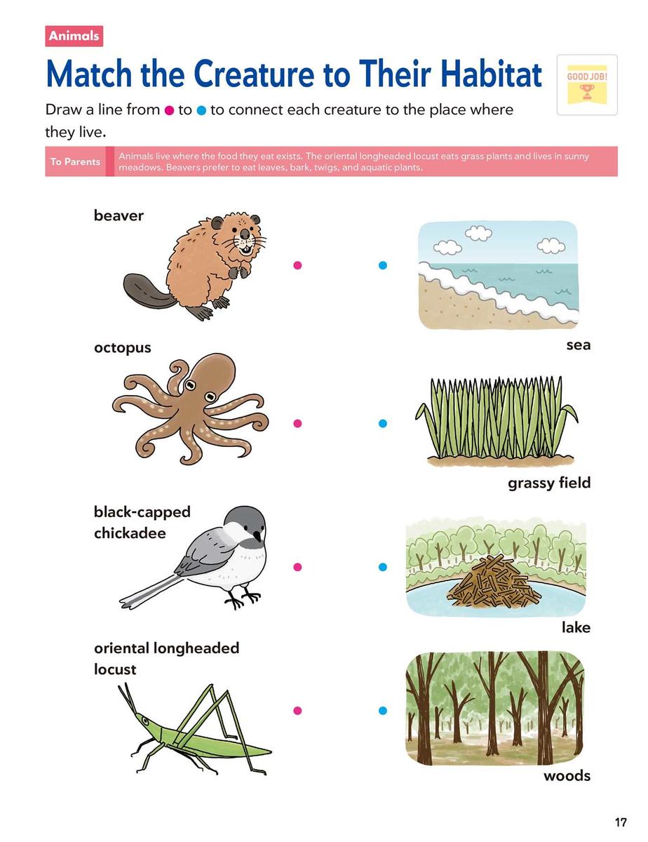 Play Smart Science Skill Builders: For Ages 5-7