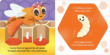 Hello! My Name Is . . . Honey Bee