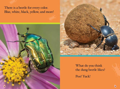 Ripley Readers LEVEL 2: Bugs!