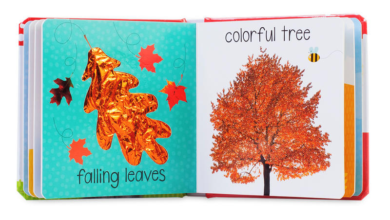 Touch and Feel Fall: Scholastic Early Learners