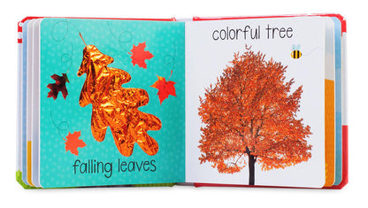 Touch and Feel Fall: Scholastic Early Learners