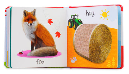 Touch and Feel Fall: Scholastic Early Learners