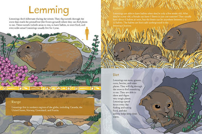 Animals Illustrated: Arctic Land Mammals