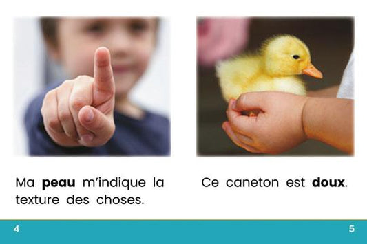 Le toucher (Touch)