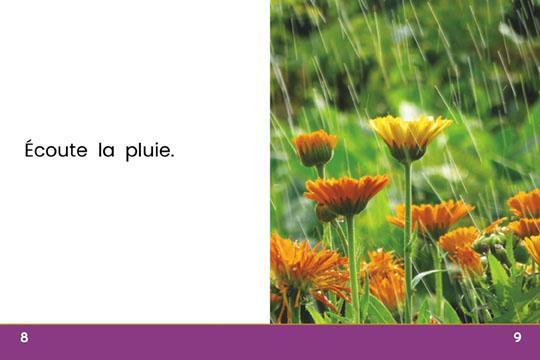 L'ouïe (Hearing)